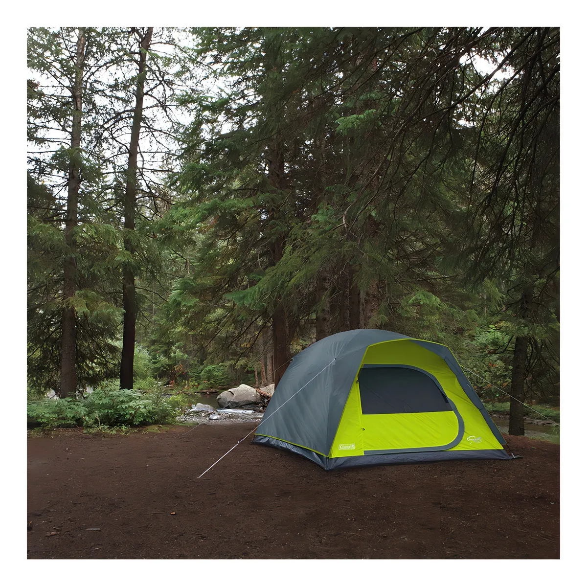 CARPA AMAZONIA 6 PERSONAS COLEMAN® / 6P - 4