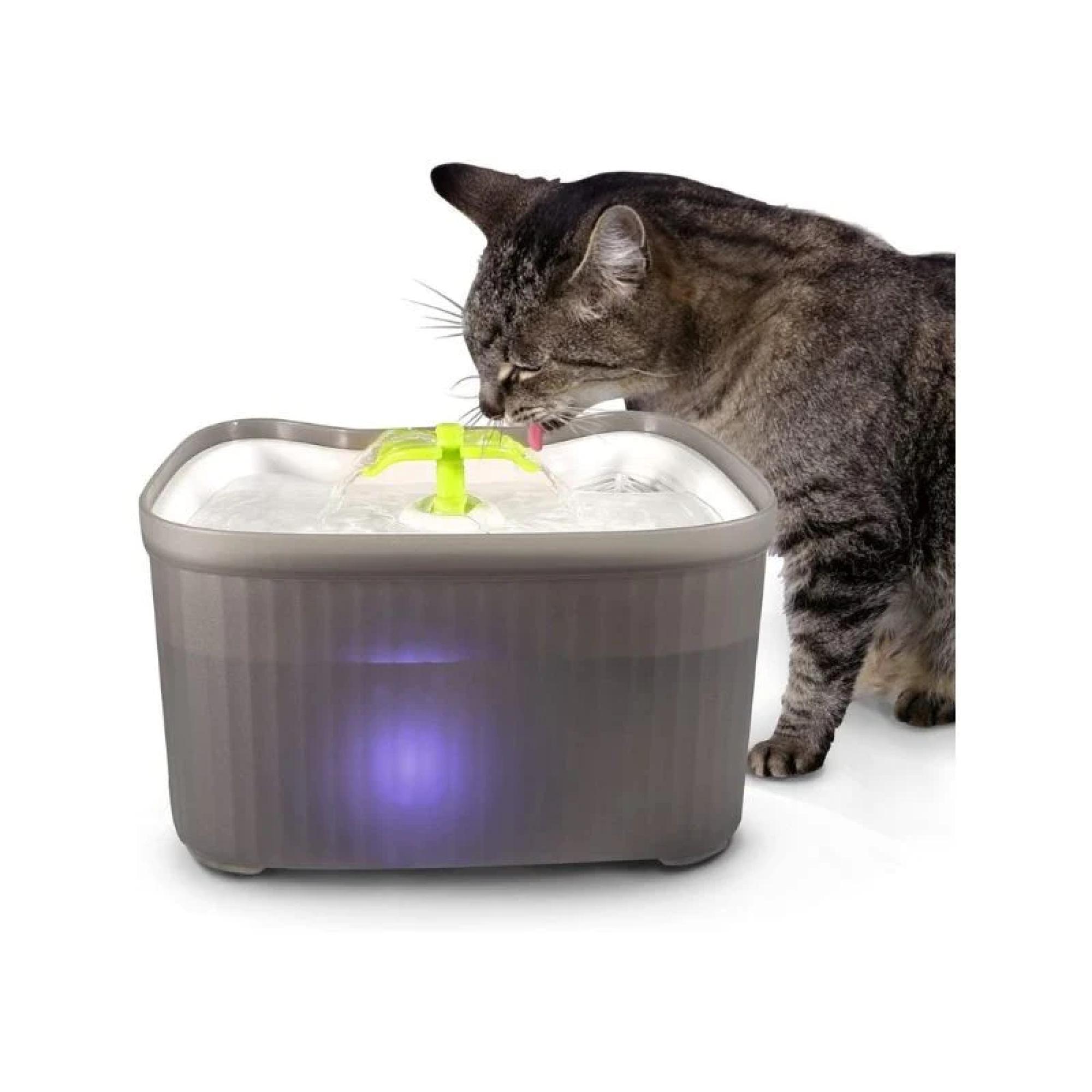 DISPENSADOR AGUA 2.6L AUTOMATICO TIPO FUENTE MASCOTAS - 2