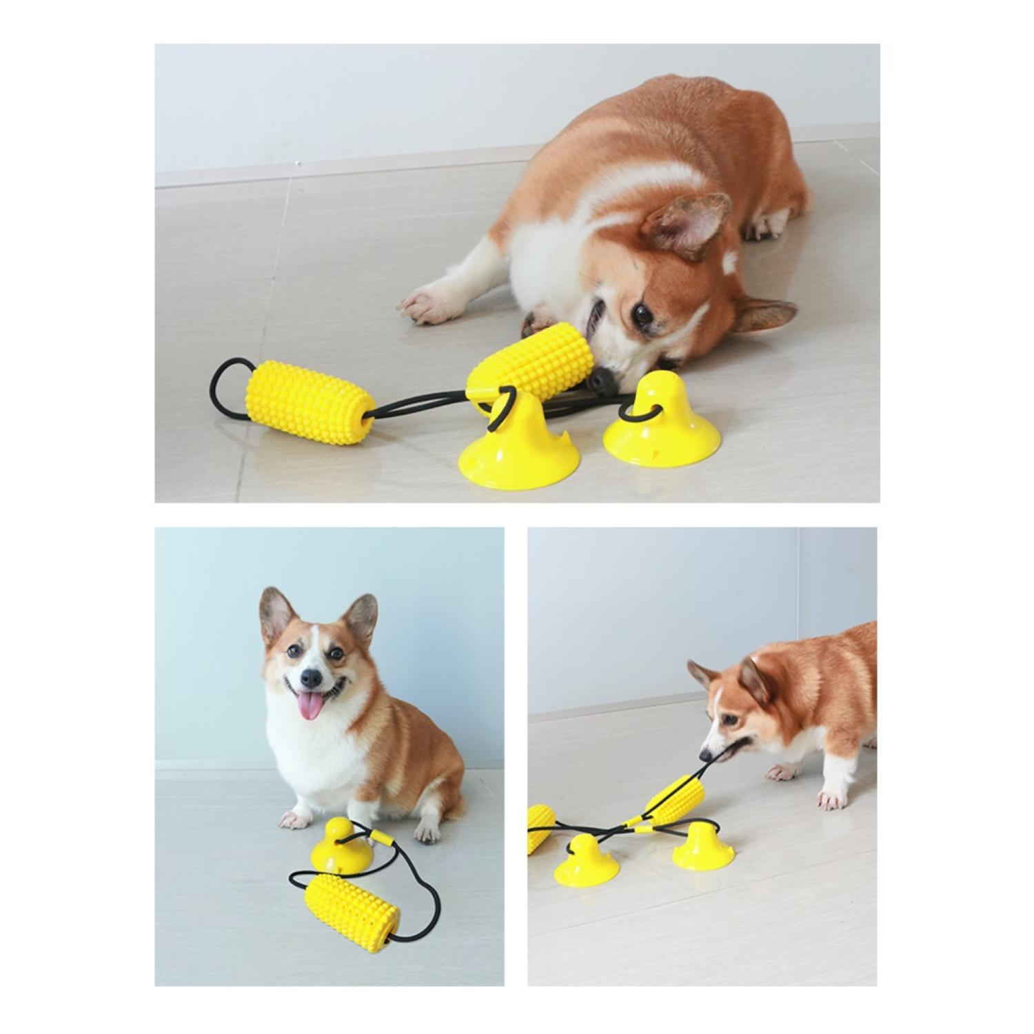 JUGUETE PERROS CON VENTOSA HALAR Y MORDER - 3