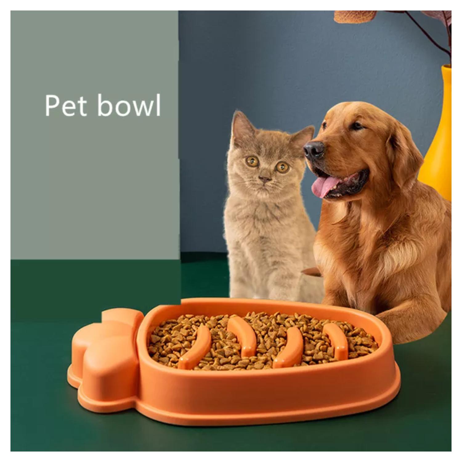 PLATO PERROS TAZON COMIDA COMEDERO LENTO - 4