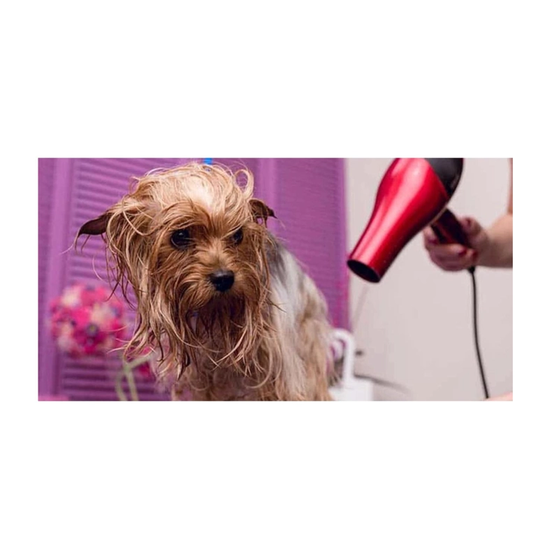 SECADOR DE PELO PORTATIL 1500W ROSADO PERROS GATOS MASCOTAS - 3