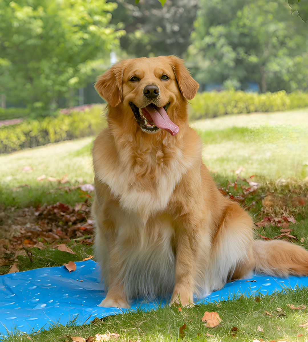 MANTA REFRESCANTE GEL FRÍO MASCOTAS TALLA XL 96X81CM JHN - 5