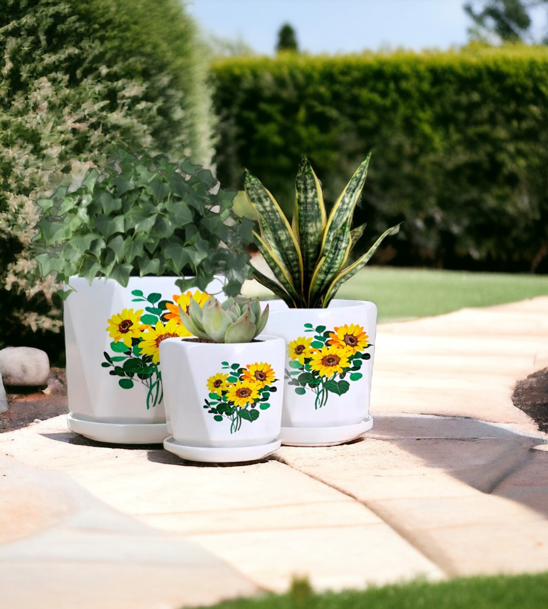 SET 3 MACETAS GIRASOL CERÁMICA PLANTAS JARDÍN DECORACIÓN JHN - 10