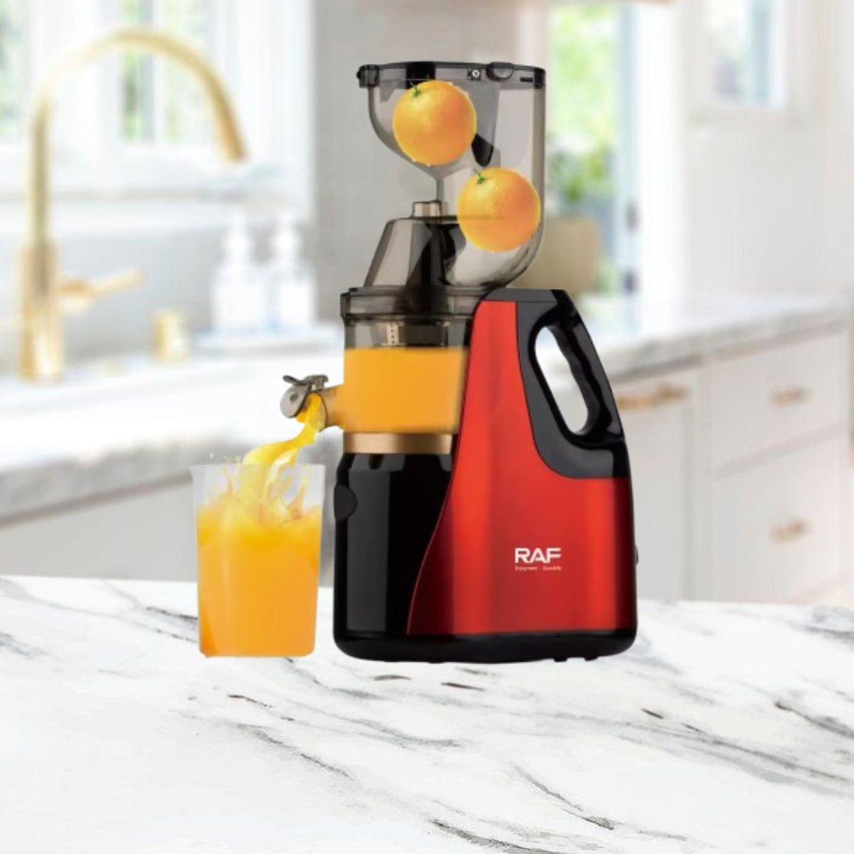 EXPRIMIDOR PRENSADO FRÍO EXTRACTOR JUGO LENTA JHN - 8