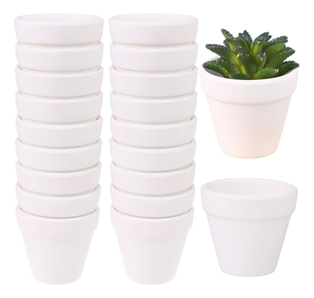 SET 6 MACETERO MINI SUCULENTAS JARDINERÍA CULTIVO JHN - 1
