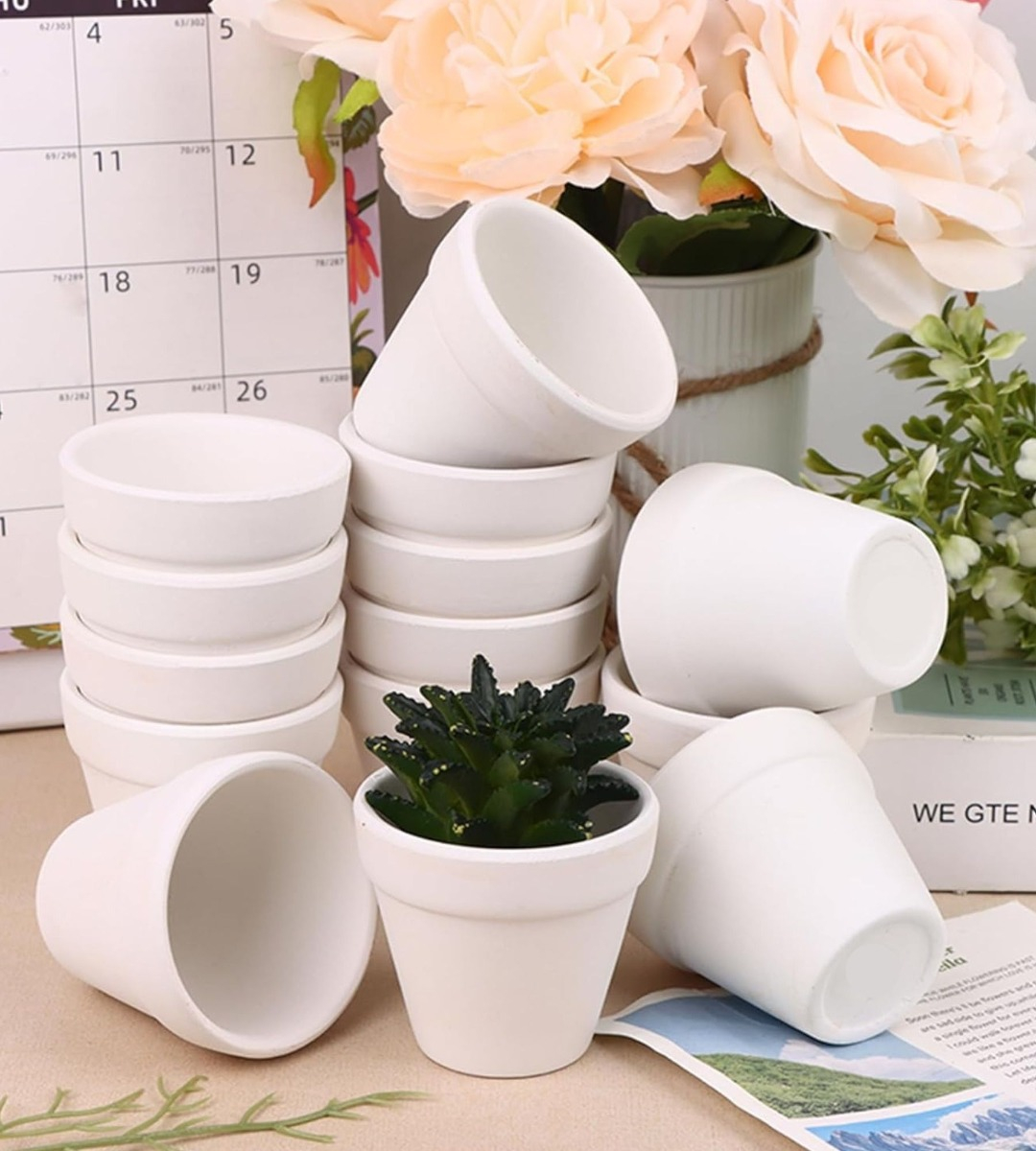 SET 6 MACETERO MINI SUCULENTAS JARDINERÍA CULTIVO JHN - 8