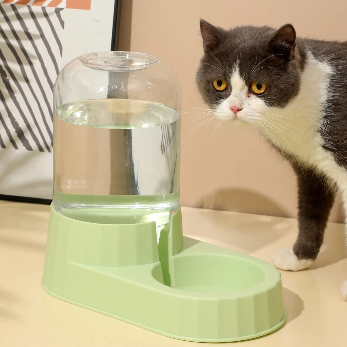 DISPENSADOR DE COMIDA Y BEBEDERO DE AGUA MASCOTA LAU - 2