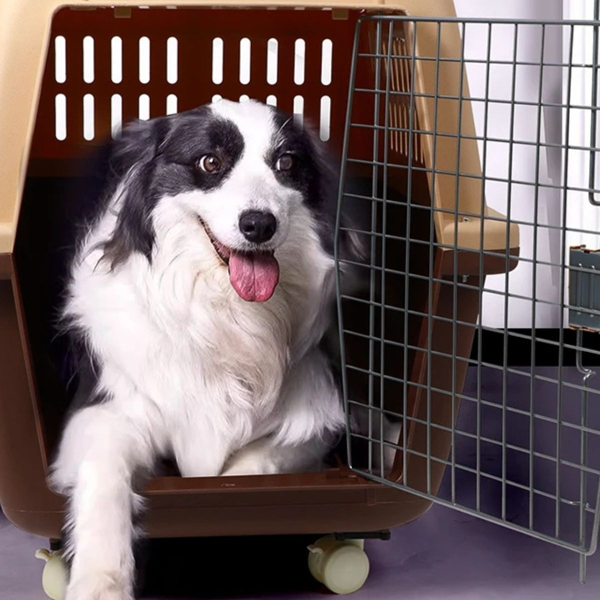 KENNEL TRANSPORTADOR 59XX47X83CM VIAJE PASEO MASCOTA LAU - 2