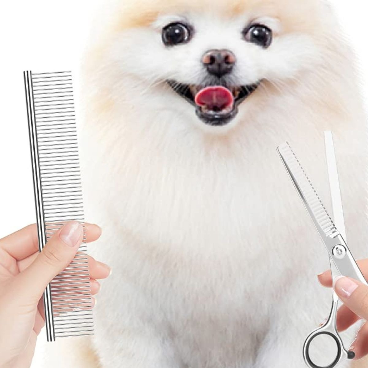 SET TIJERAS PROFESIONALES PARA ASEO Y CORTAUÑAS MASCOTA LAU - 7