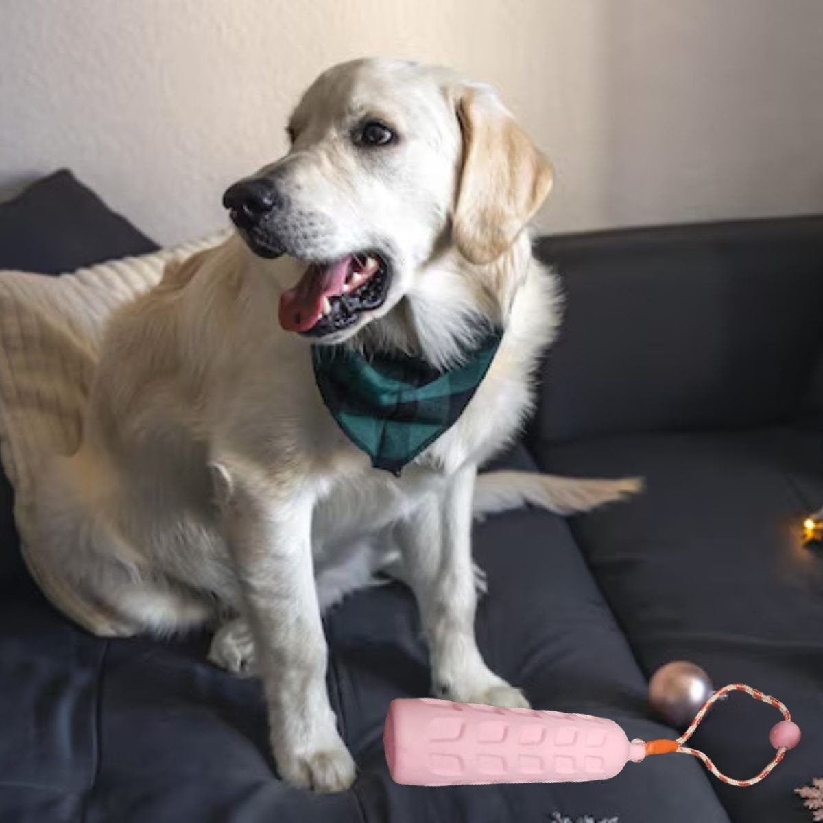 SET 2 JUGUETE MACIZO E INDESTUCTRIBLE PARA PERRO MASCOTA LAU - 4