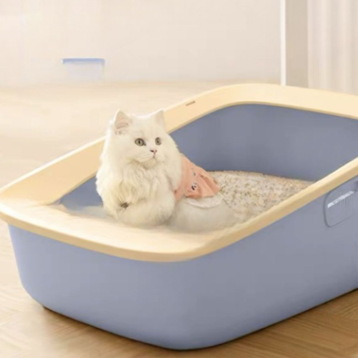 CAJA D ARENA PARA GATOS ASEO HIGIENE MASCOTA GRANDE LAU - 4