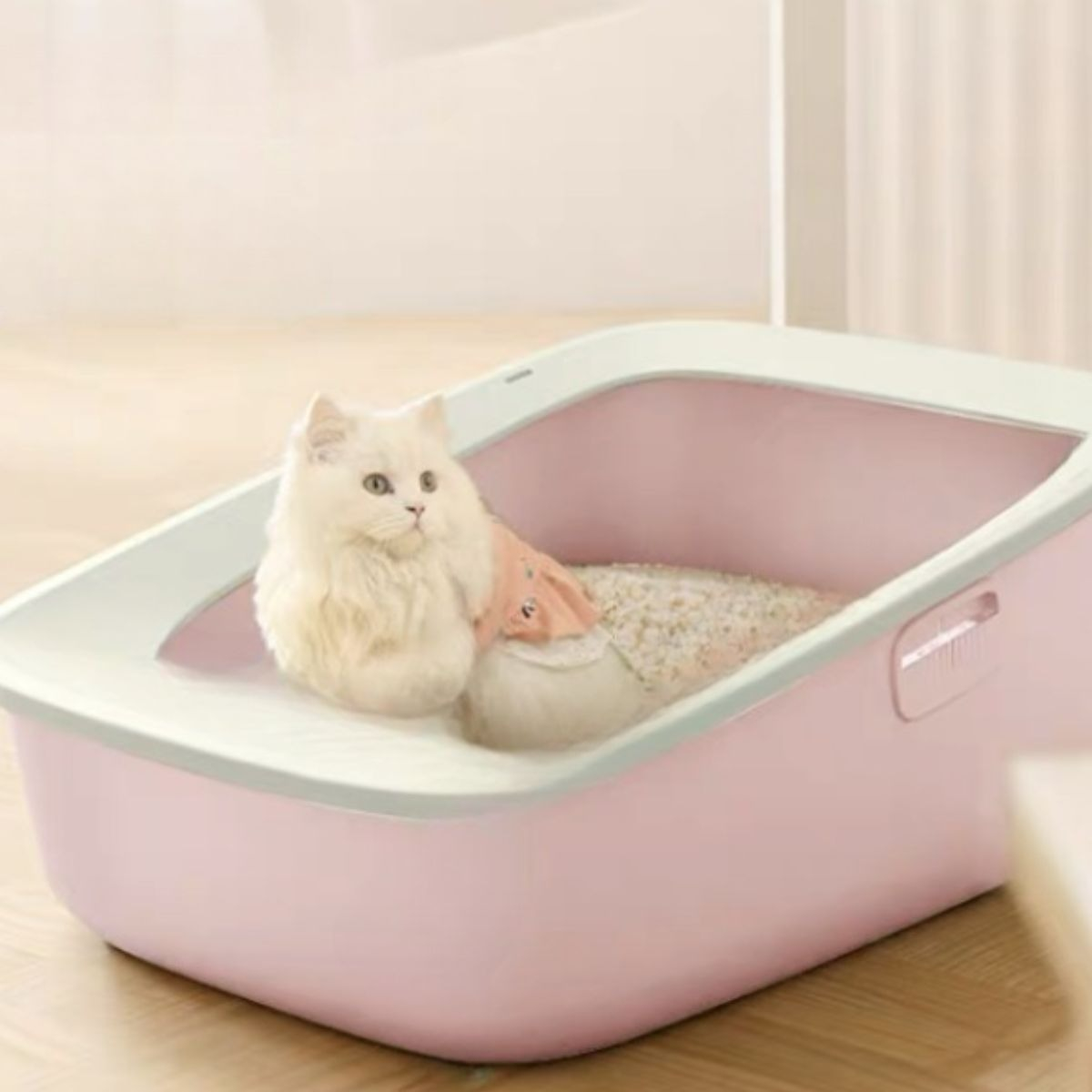 CAJA D ARENA PARA GATOS ASEO HIGIENE MASCOTA GRANDE LAU - 6