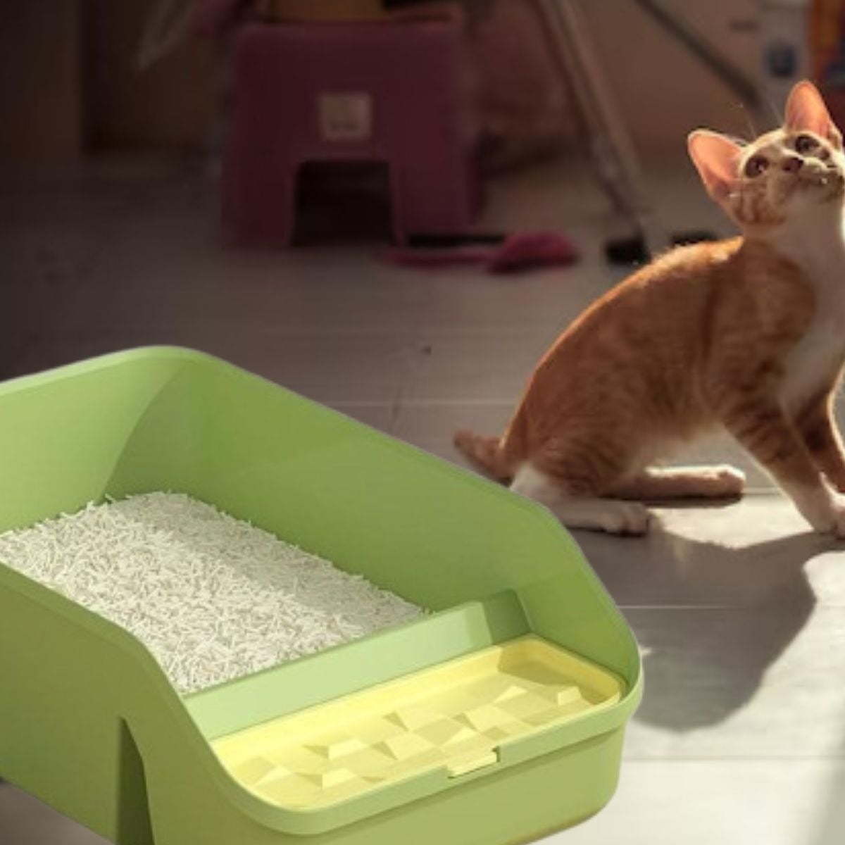 CAJA DE ARENA GRANDE PARA GATOS MASCOTAS HOGAR LAU - 5