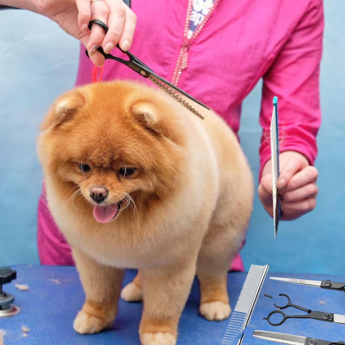 KIT DE TIJERAS PROFESIONALES ASEO DE MASCOTAS 7' LAU - 8