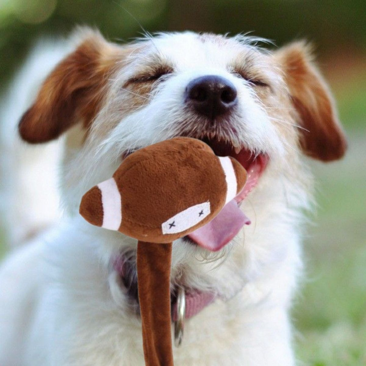 SET 2 JUGUETE PELUCHE INTERACTIVO PARA MASCOTA PERROS LAU - 2