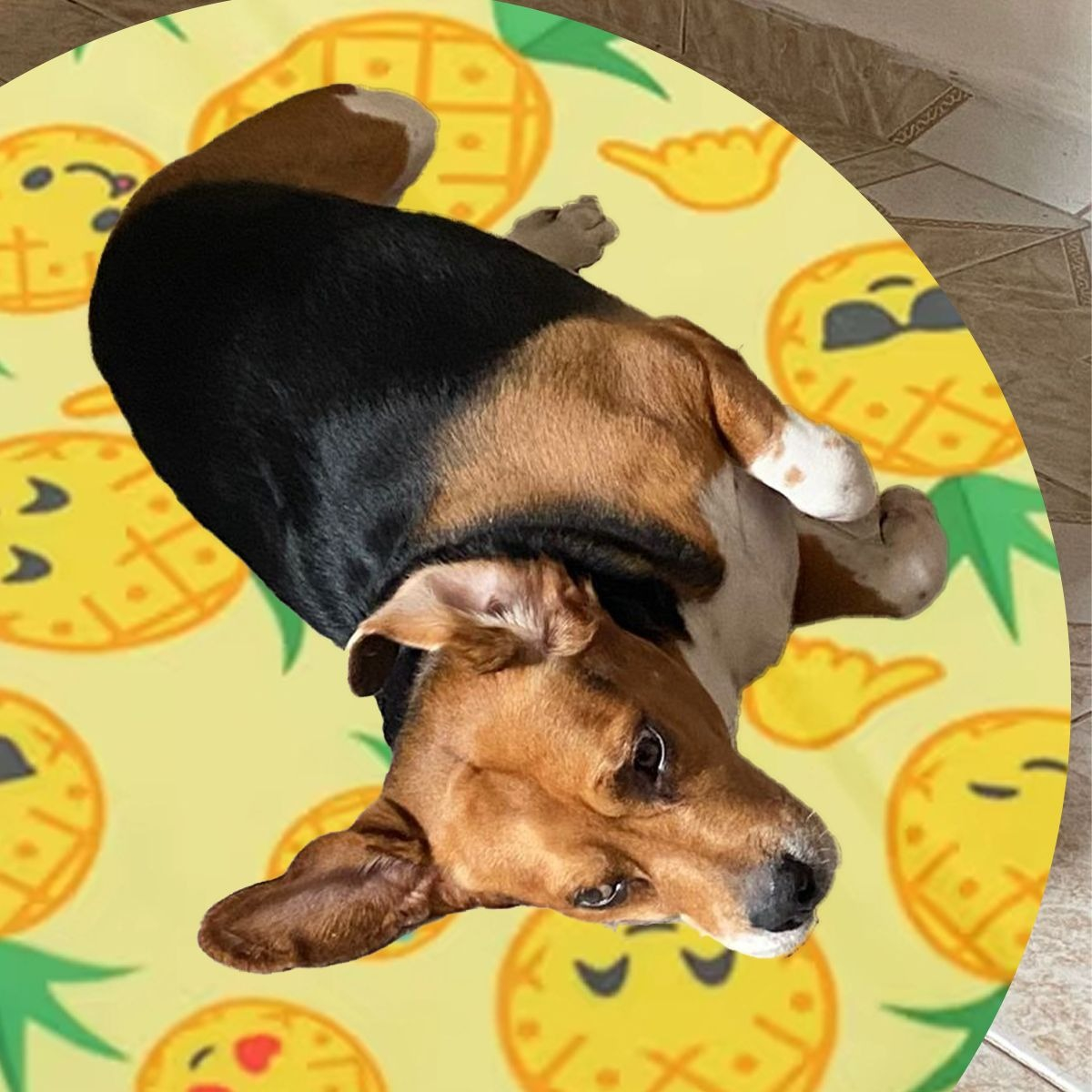 MANTA REFRESCANTE PARA MASCOTAS 60CM VERANO HOGAR LAU - 3