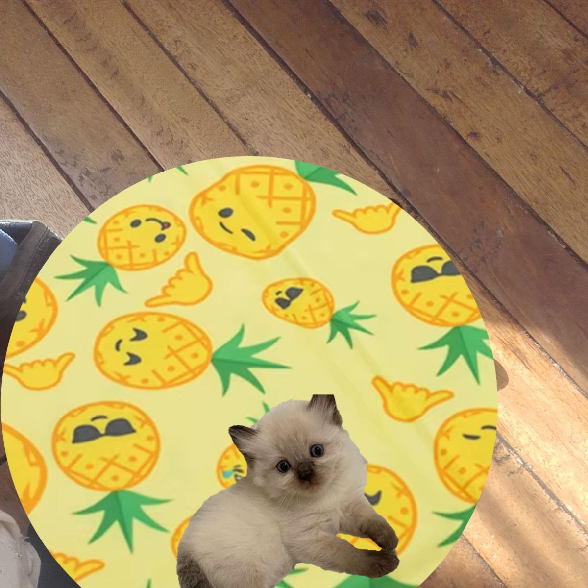 MANTA REFRESCANTE PARA MASCOTAS 60CM VERANO HOGAR LAU - 7