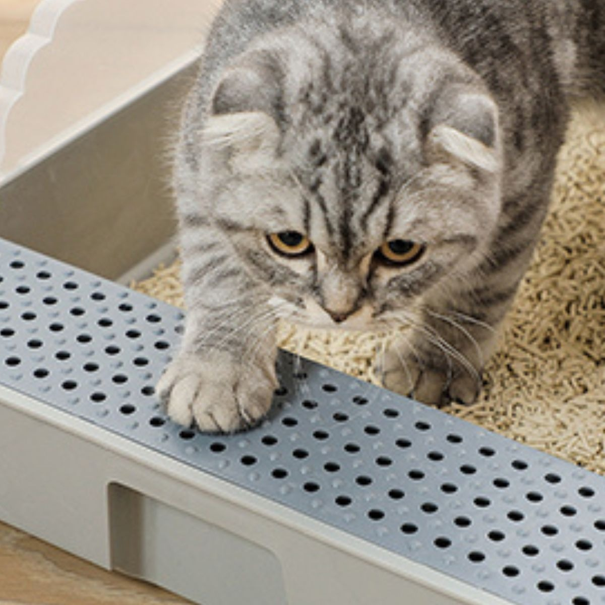 ARENERO CAJA PEQUEÑO ANTISALPICADURAS GATOS MASCOTAS LAU - 4