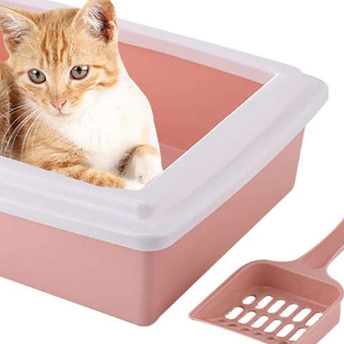 ARENERO CAJA SEMICERRADA PARA GATOS MASCOTAS HOGAR LAU - 3