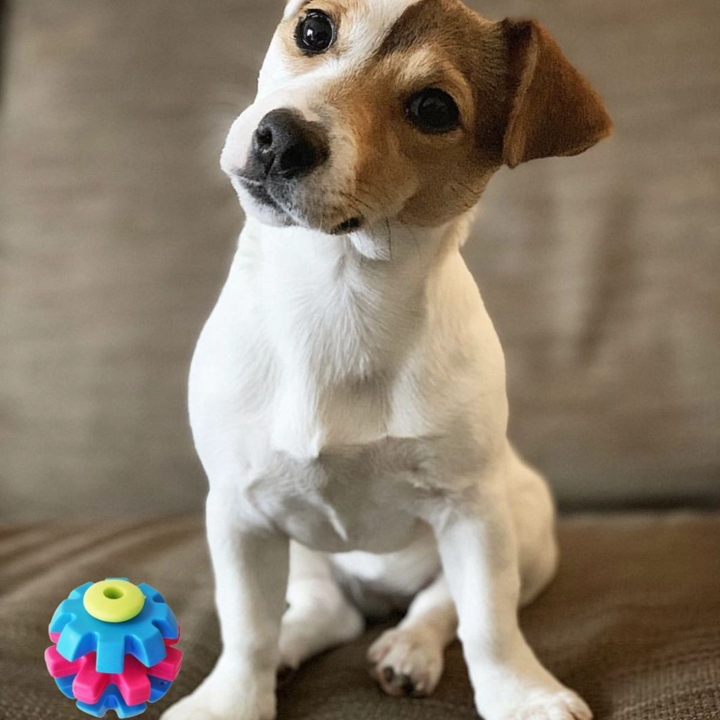 SET 4 JUGUETES PARA MASCOTA PELOTA DE ENTRENAMIENTO LAU - 8