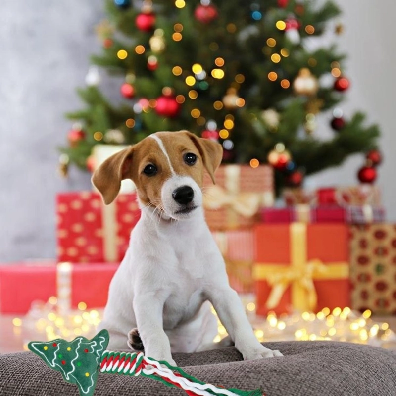 SET 3 JUGUETES PARA MASCOTA DISEÑO NAVIDEÑO PERROS LAU - 2