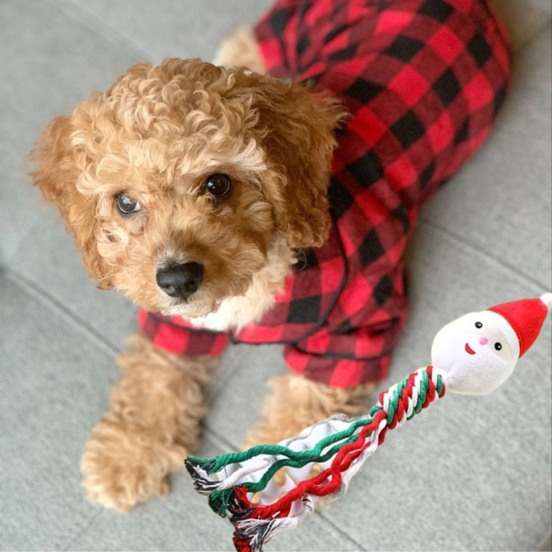SET 3 JUGUETES PARA MASCOTA DISEÑO NAVIDEÑO PERROS LAU - 10