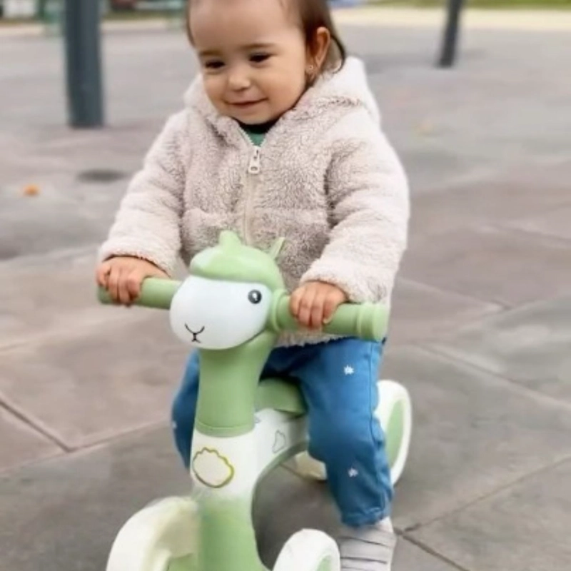 JUGUETE BICICLETA DE EQUILIBRIO SIN PEDALES PARA BEBE LAU - 2