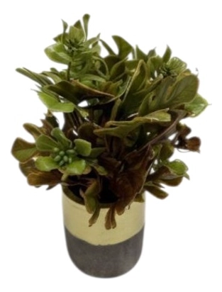 SET 2 PLANTAS ARTIFICIALES DECORATIVAS MACETERO BICOLOR JHN - 1
