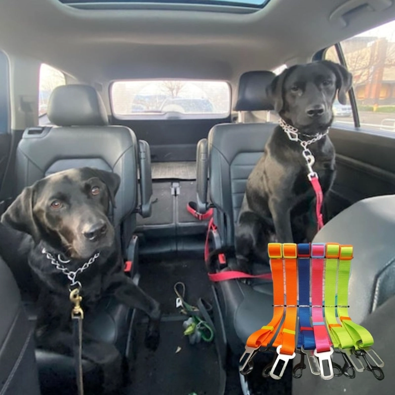 PACK DE CINTURON DE SEGURIDAD PARA MASCOTA LAU - 5