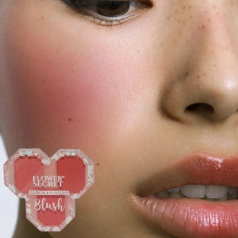 PAQ 24 RUBORES POLVO MAQUILLAJE EFECTO SEDOSO LUZ ALJ - 10