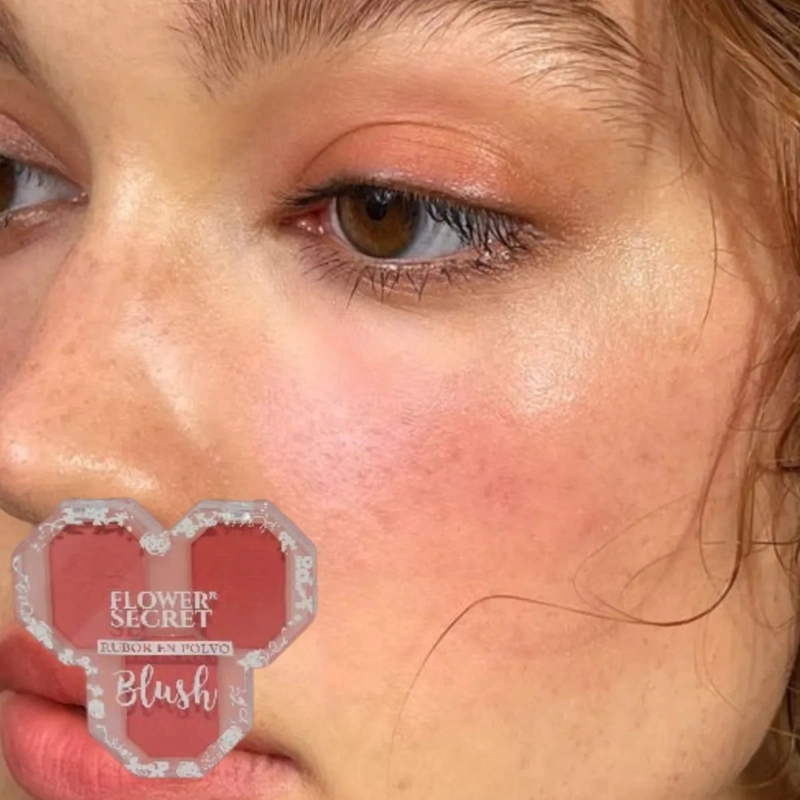 PAQ 24 RUBORES POLVO MAQUILLAJE EFECTO SEDOSO LUZ ALJ - 4