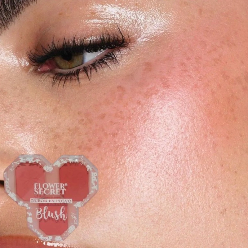 PAQ 24 RUBORES POLVO MAQUILLAJE EFECTO SEDOSO LUZ ALJ - 9