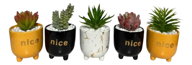 SET 2 MACETAS DECORATIVAS FRASES PLANTAS SUCULENTAS ALJ - 1