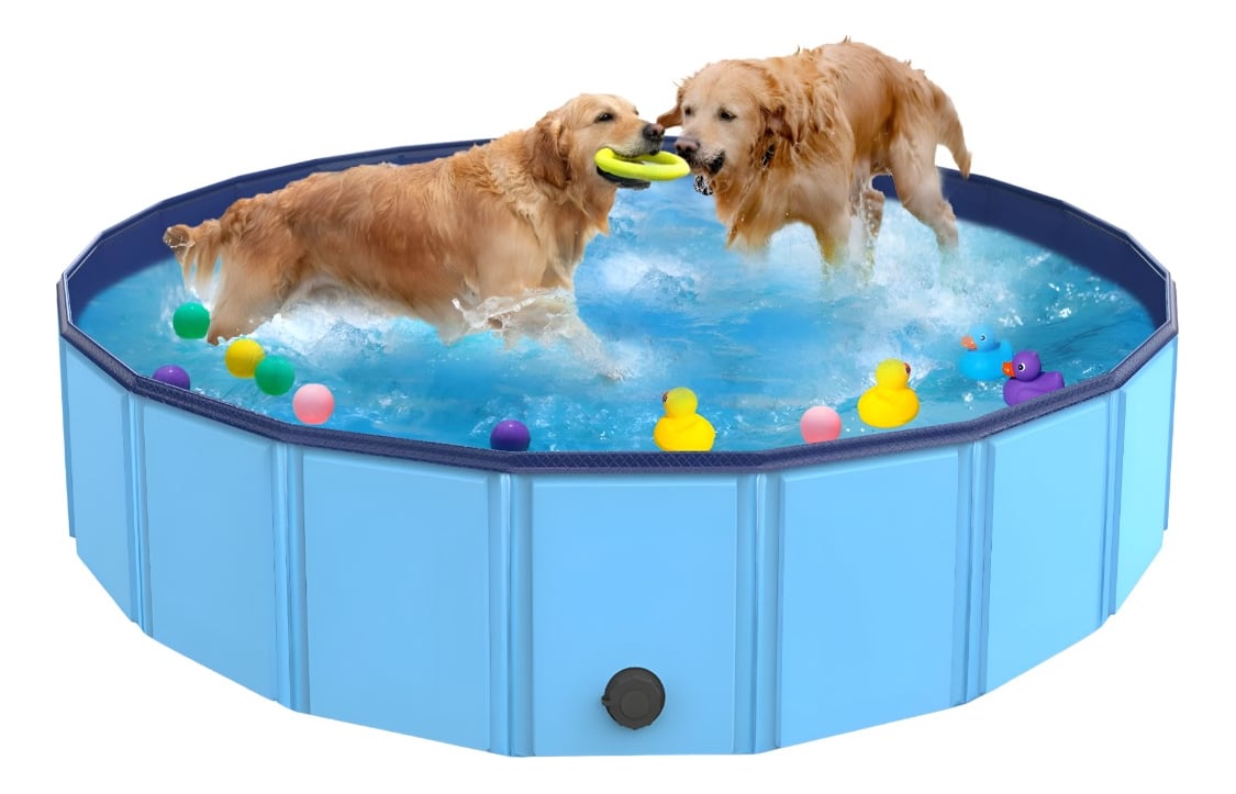 PISCINA PILETA PLEGABLE PARA MASCOTAS Y NIÑOS 160X30CM JHN - 3
