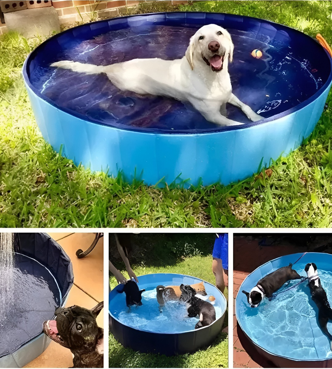 PISCINA PILETA PLEGABLE PARA MASCOTAS Y NIÑOS 120X30CM JHN - 4