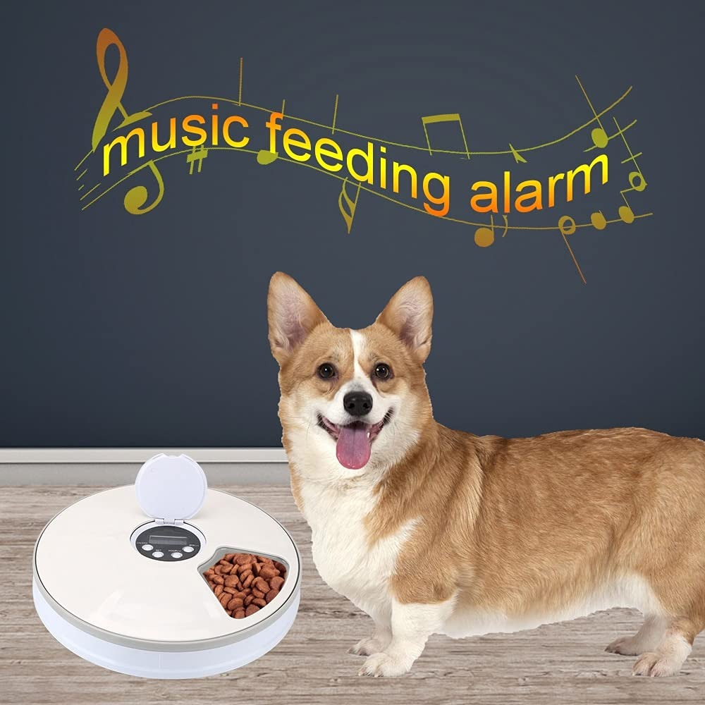 COMEDERO AUTOMÁTICO ALIMENTO MASCOTAS TEMPORIZADOR LAU - 6