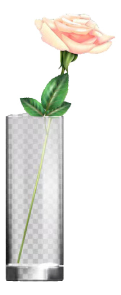 FLORERO CILÍNDRICO VIDRIO TRANSPARENTE PLANTAS HOGAR LAU - 1