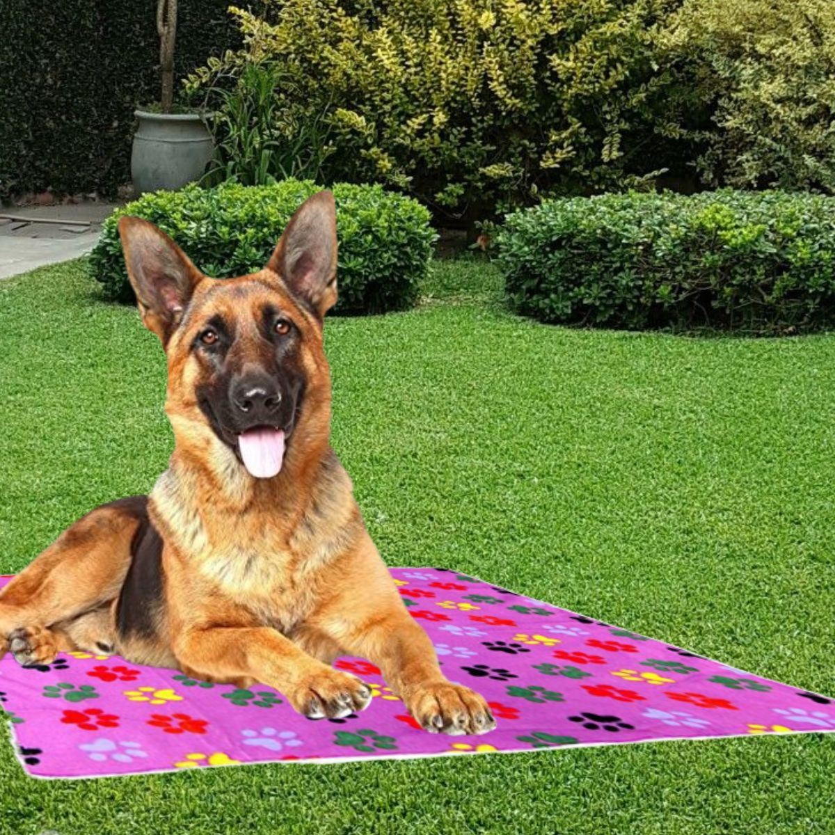 SET 3 MANTA POLAR PARA MASCOTAS 120X90 ABRIGO SUAVE LAU - 10