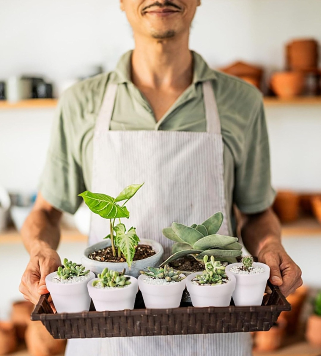 SET 6 MACETERO MINI SUCULENTAS JARDINERÍA CULTIVO JHN - 4