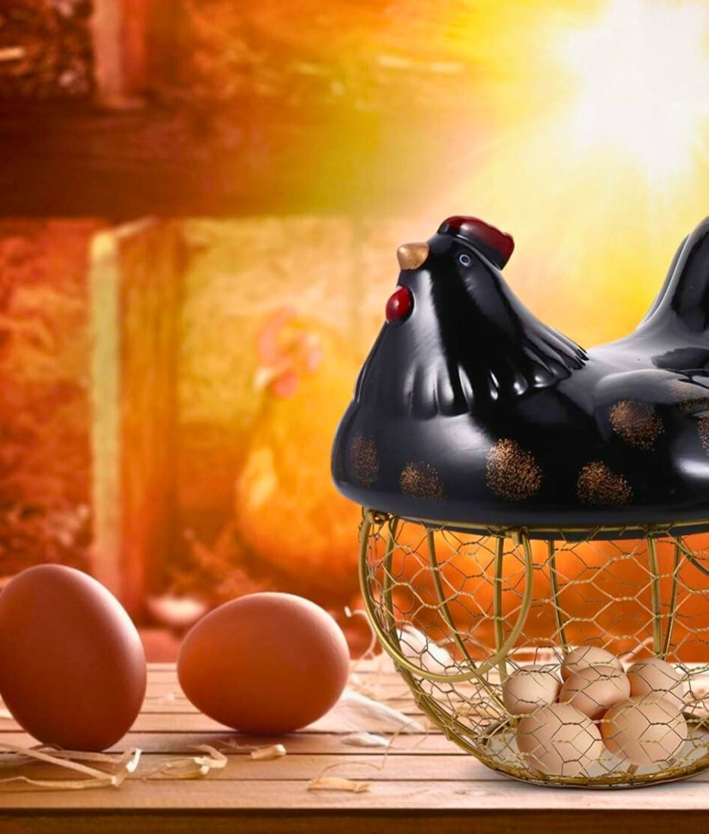 PORTA HUEVOS DECORATIVO GALLINA CESTA ALMACENAMIENTO JHN - 9