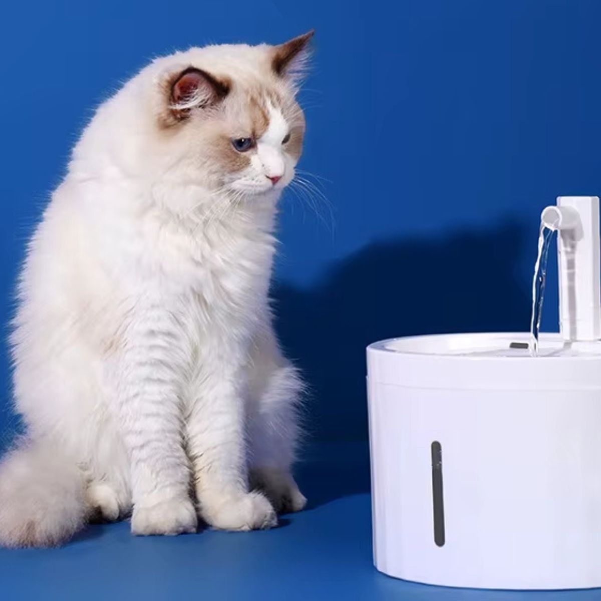 BEBEDERO DISPENSADOR DE AGUA PARA MASCOTAS HOGAR LAU - 9
