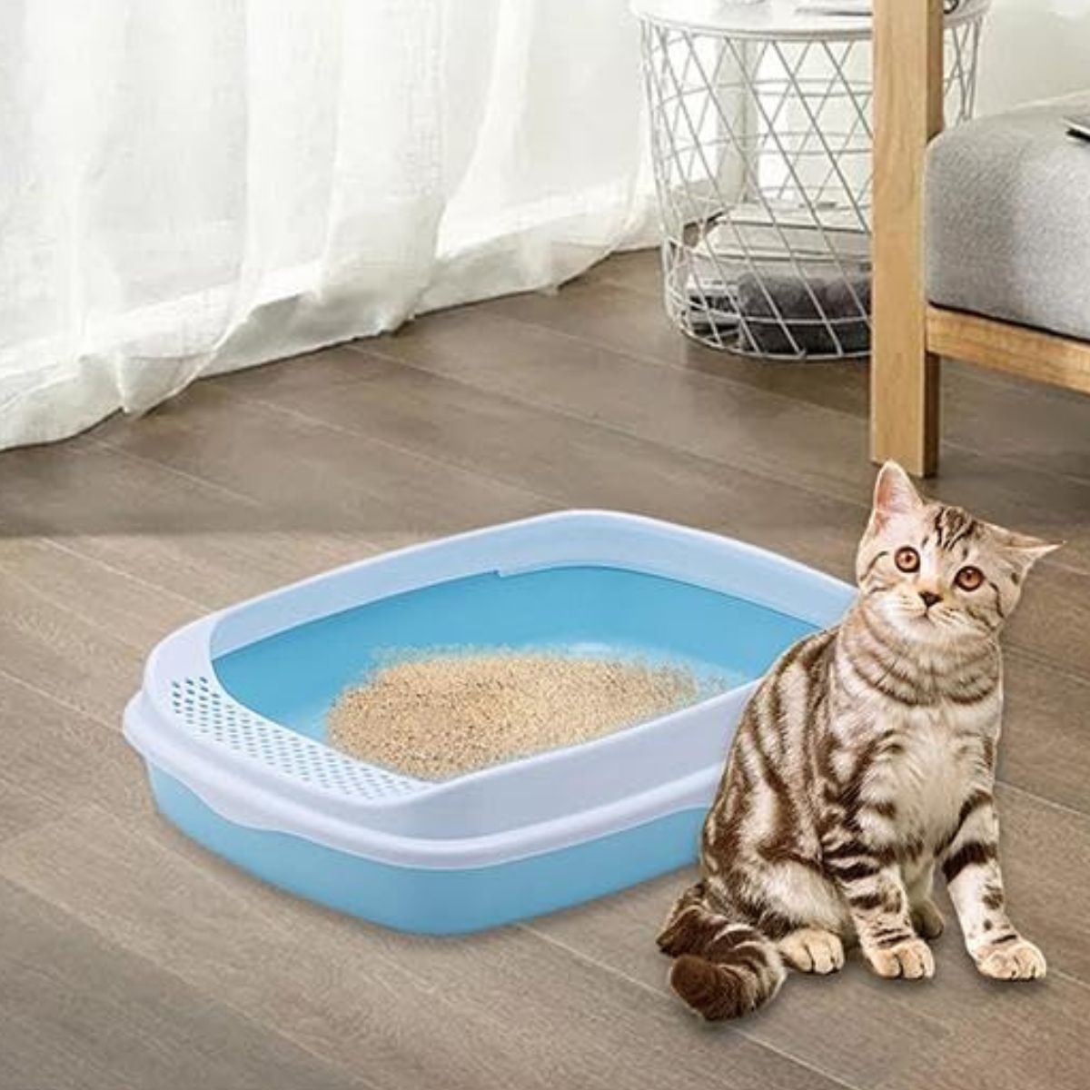 ARENERO BANDEJA DESMONTABLE GATOS MASCOTAS PEQUEÑAS LAU - 7