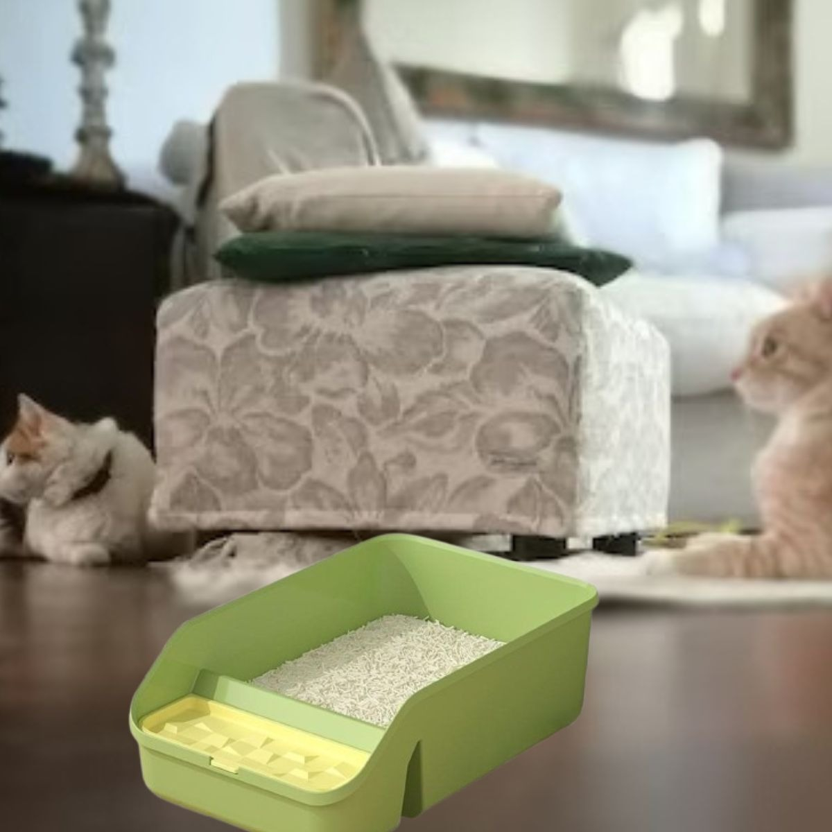 CAJA DE ARENA PEQUEÑO GATOS MASCOTAS HOGAR ASEO HIGIENE LAU - 2