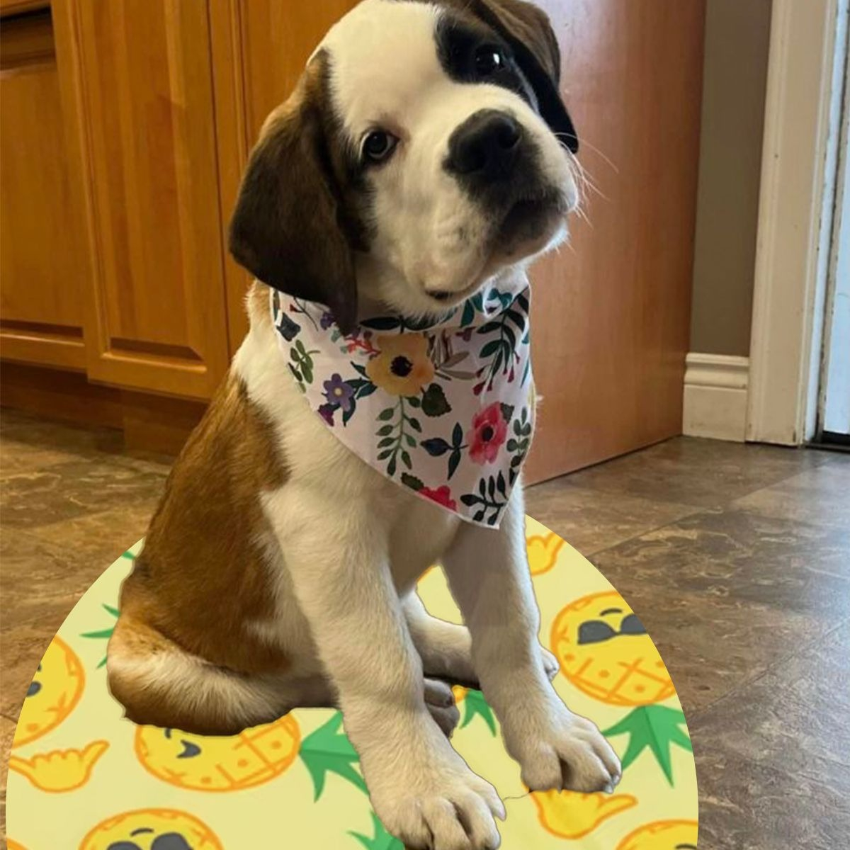 MANTA REFRESCANTE PARA MASCOTAS 40CM VERANO HOGAR LAU - 3