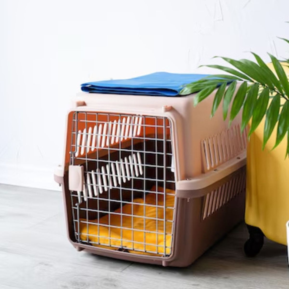KENNEL TRANSPORTADOR RESISTENTE 52X41X75CM PERRO MASCOTA LAU - 8