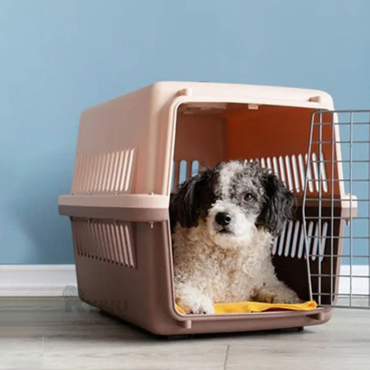 KENNEL TRANSPORTADOR RESISTENTE 52X41X75CM PERRO MASCOTA LAU - 10