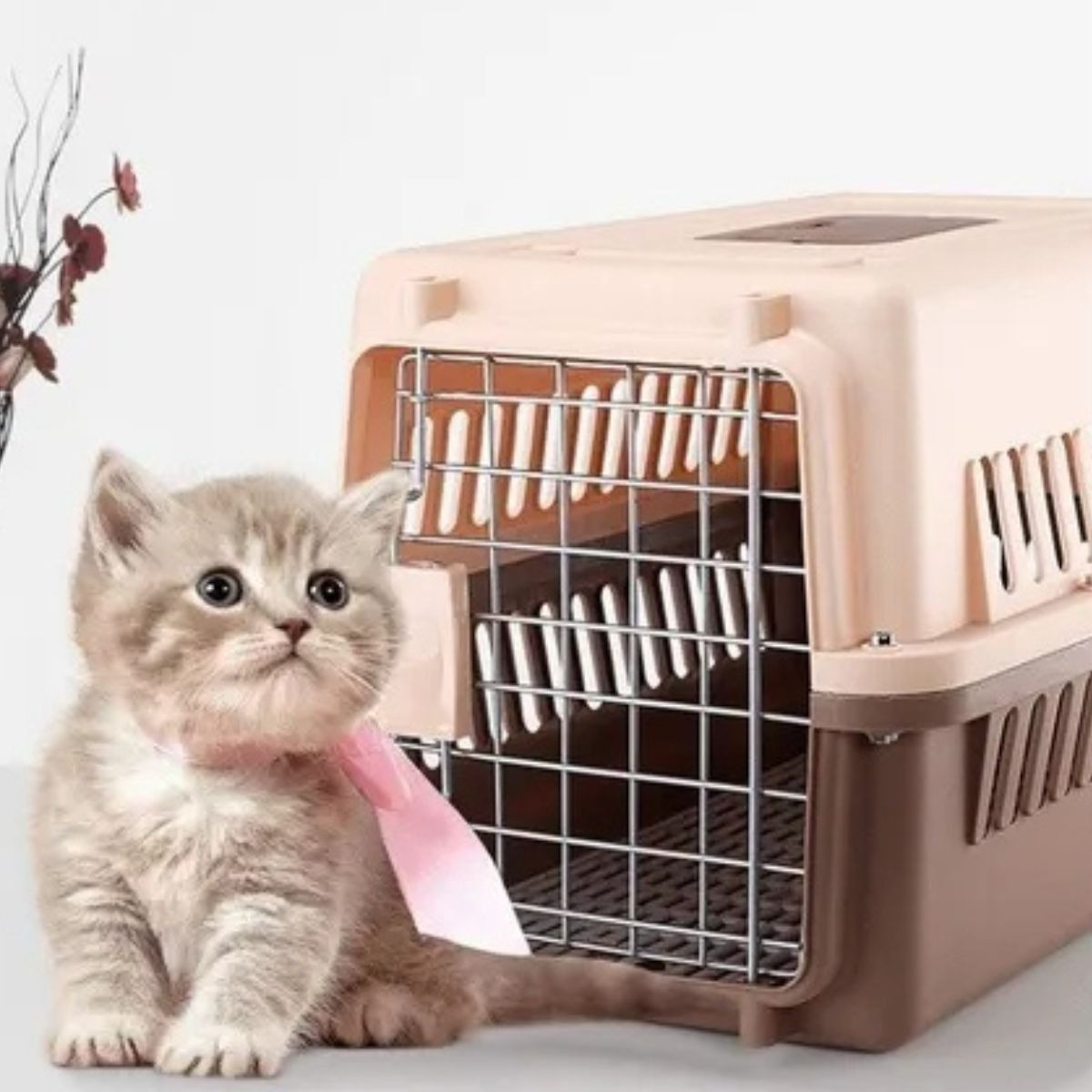 KENNEL TRANSPORTADOR VIAJE PASEO 30X25X44CM MASCOTA LAU - 2