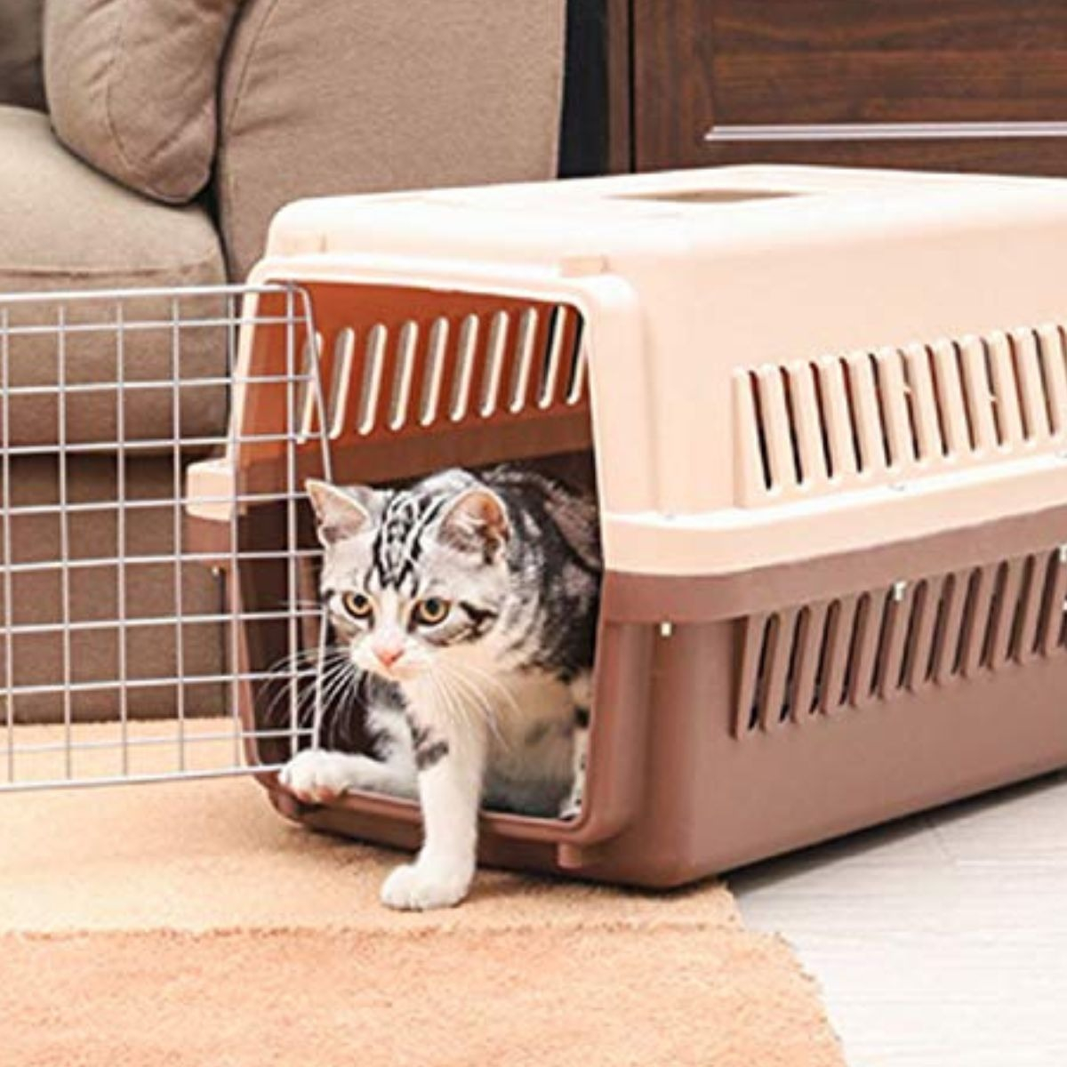 KENNEL TRANSPORTADOR VIAJE PASEO 30X25X44CM MASCOTA LAU - 7