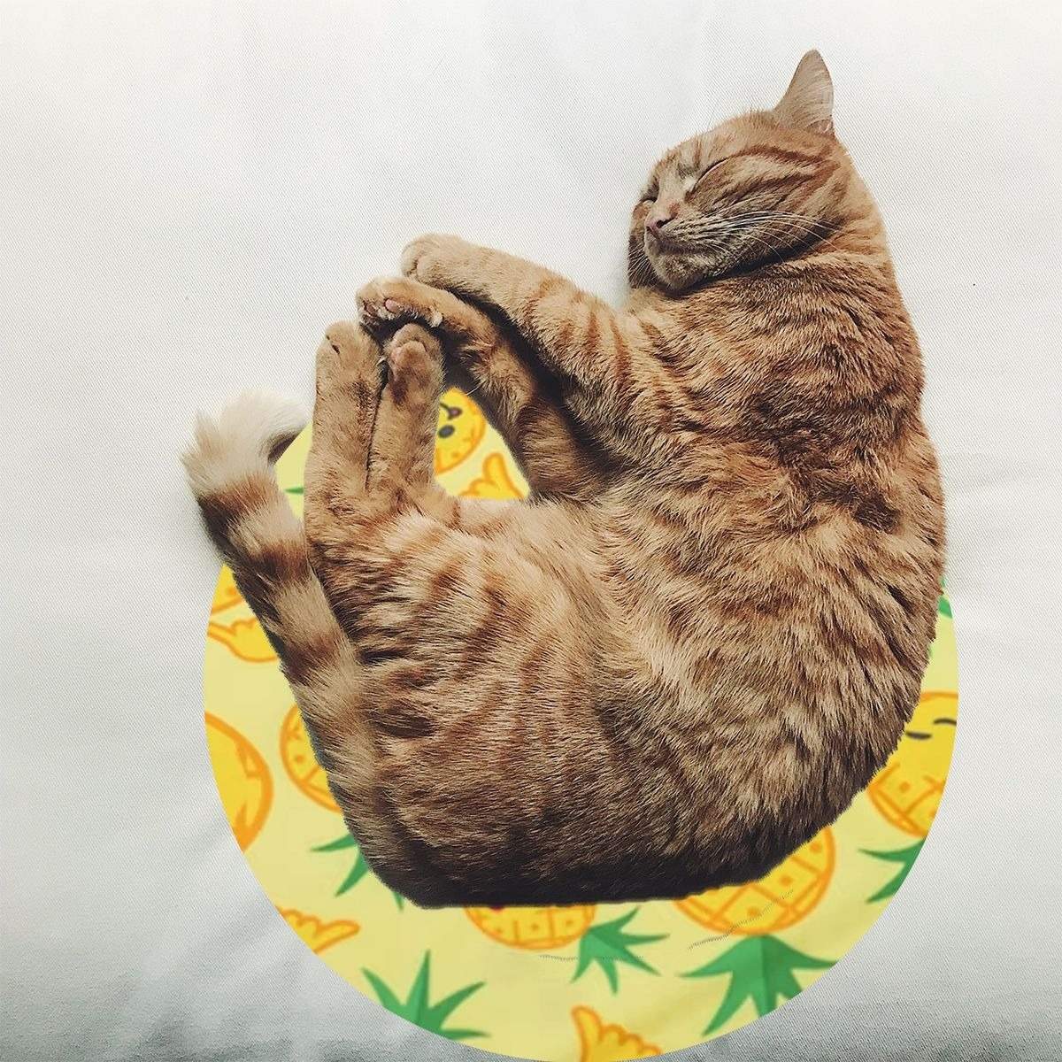 MANTA REFRESCANTE PARA MASCOTAS 30CM VERANO HOGAR LAU - 7