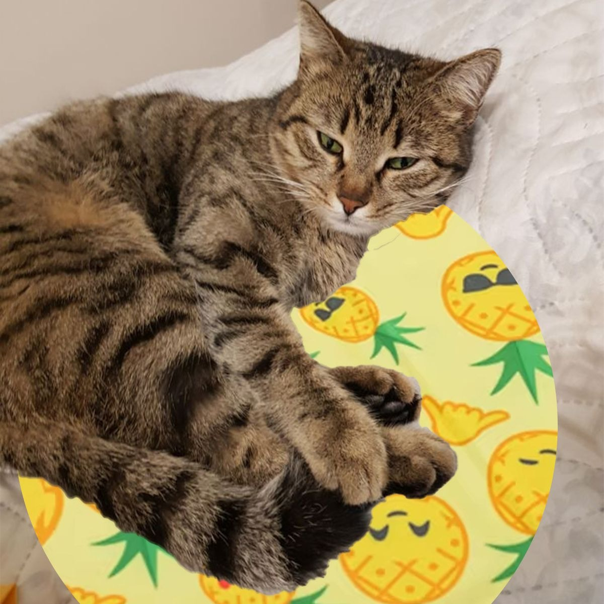 MANTA REFRESCANTE PARA MASCOTAS 30CM VERANO HOGAR LAU - 8